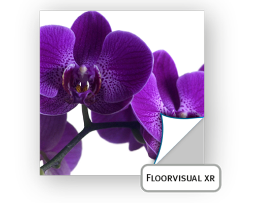 Floorvisual XR