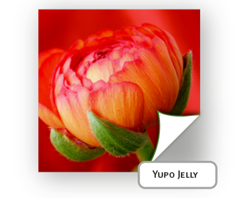 Yupo Jelly